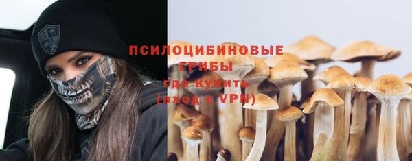прущие крисы Нея