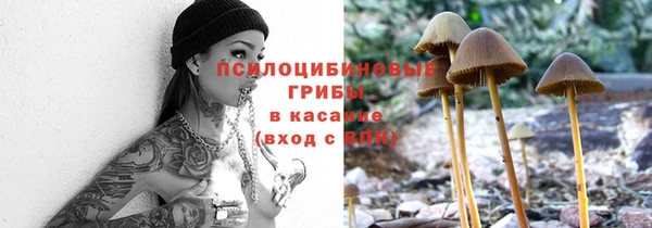 мяу мяу мука Нефтегорск