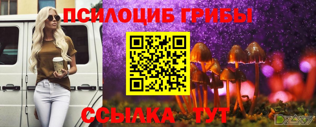 Гарик  Моздок  Каннабис  НБОМе  LSD-25  Вход с VPN  Вейп ТГК  Мефедрон  МАРИХУАНА 